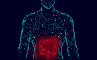 Microbiota Intestinal e Transtornos do Humor