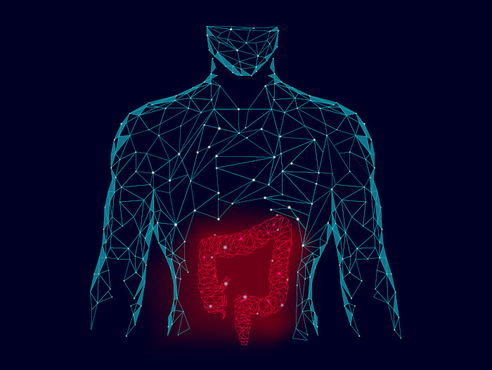 ilustração sobre microbiota intestinal e transtornos do humor